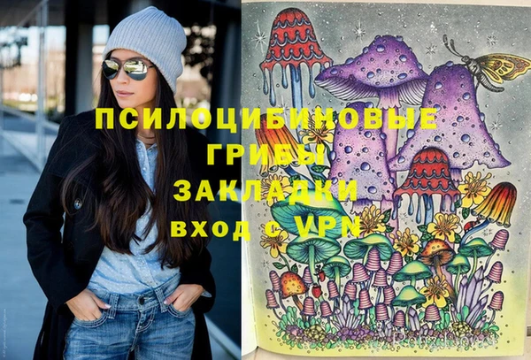 меф Белокуриха