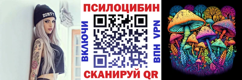 blacksprut зеркало  Дрезна  Галлюциногенные грибы MAGIC MUSHROOMS  где купить  