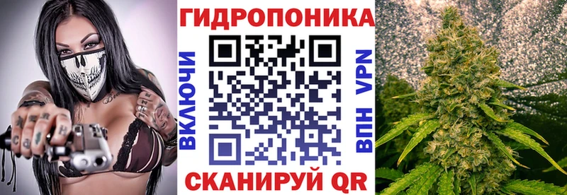 Конопля гибрид  цена наркотик  Дрезна 